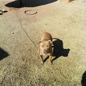 Meet your Posher, Corey